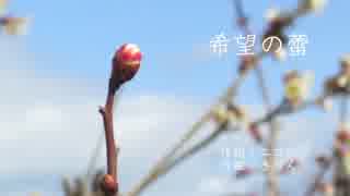 【初音ミク】希望の蕾【オリジナル】