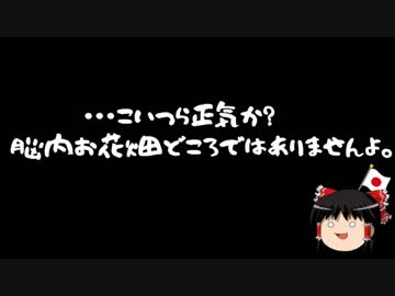 【ゆっくり保守】熊本大地震を速攻利用する人間達。