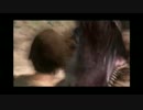 【実況】ドラゴンズドグマを初見プレイPart6