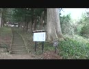 ＺＯＯチャンネルロードショー 今だからこそ！見ると幸せになる？！ ガチホワイト リターンズ＆リベンジR-2