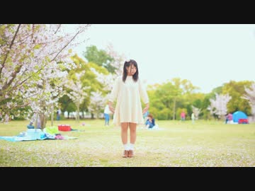 【みゆちー】ハルイチ。踊ってみた【桜】