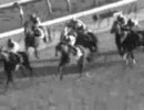 【競馬】ハーツクライでｳｯｰｳｯｰｳﾏｳﾏ(ﾟ∀ﾟ)