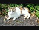 少しのんびり