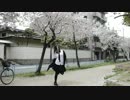 【桜の前で】ハッピーシンセサイザ【一発撮りで踊ってみた】