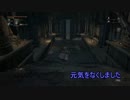 【ブラッドボーン】　高１女子の血の掟　Hunt１３