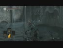 wakoのダークソウル3実況パート28