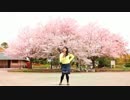 【ぷるめん】恋空予報　踊ってみた【桜】