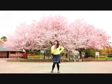【ぷるめん】恋空予報　踊ってみた【桜】