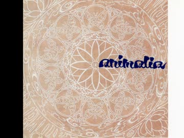 【animalia】strange 【オリジナル曲】