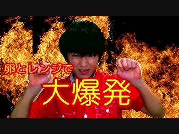 電子レンジで爆発起こしてみたよ