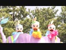 ヒッピティ・ホッピティ・スプリングタイム　甥っ子