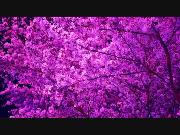 [2016] 月刊キャンプ4月号 くのわき親水公園キャンプ場 [12]