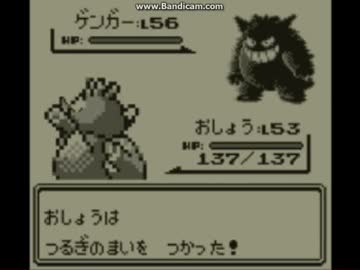 迫真ポケモン部　種壺の裏技　第12話