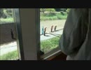 列車に向かって作業員が謝罪してた