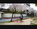はなまるぴっぴはよいこだけ【アドリブで踊ってみた】