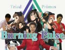 Burning Pulse
