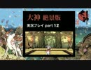 【実況】大神 絶景版 初見プレイpart12