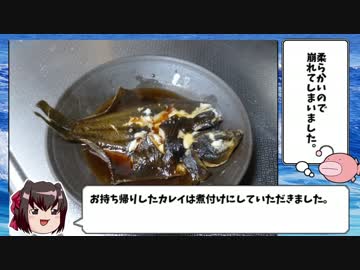 まったり釣行記⑥☆ボウズ供養zwei＆マコガレイ