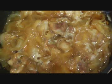 玉葱と鶏肉を煮込んでいるのをただ単にじ～っと眺めるだけの動画
