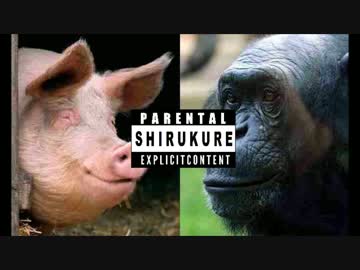 【愛媛の汁戦争】 福島ピザの永井DISラップ 【永井先生 vs 福島ピザ】