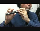 【雑動画160105】ホームタウンドミナ【演奏してみた】