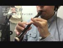 【雑動画160125】魔法少女達の百年祭【演奏してみた】