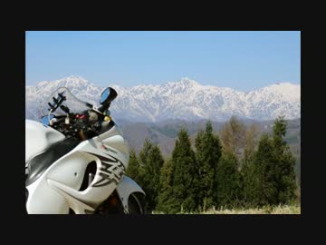 隼ロロ号で行く！今年最後の桜のお花見　ソロツーリング