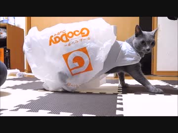 かっこいいビニールマント