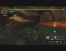 モンスターハンター2ndG　双剣でGラージャン　2/2