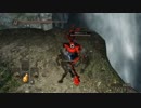 毎日厄日のダークソウル2[28]