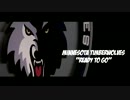 【NBA】希望しか見えない【ミネソタティンバーウルブズ】