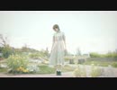 【仮面ライアー217】刹那プラス【踊ってみた】