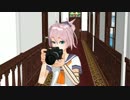 配布動画