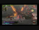 斧剣ﾎﾞｯﾁｐｔ：Gグァンゾルム討伐！