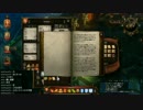 【Divinity: Original Sin】二人でまったり大冒険！プレイ動画その205