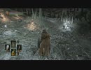 逝くたびに肉体が強くなるダークソウル３【実況】#13