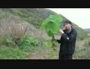 【にしやんFC】伝説のキノコと山菜狩りに行ってきた