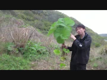 【にしやんFC】伝説のキノコと山菜狩りに行ってきた