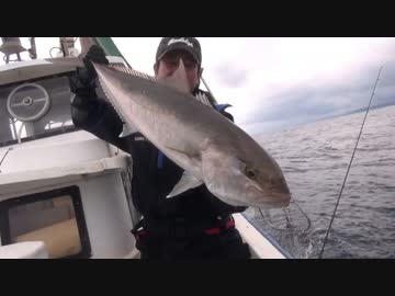 超巨大カンパチを釣りあげろ 後半