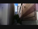 幻境 ～ ニリンソウ　逆再生