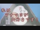 【スプラトゥーン】十回目　プログラマのイカ実況