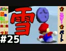 【日刊】外国人がスーパーマリオ64オールクリア実況 ２５日目