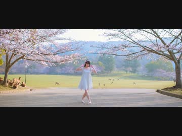 【フェイリス】ミルククラウン・オン・ソーネチカ【奈良】