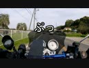【MC31】南房総ツーリングに行ってきた