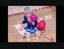 「ぶる～べりぃ♡とれいん」踊ってみた【媛花】