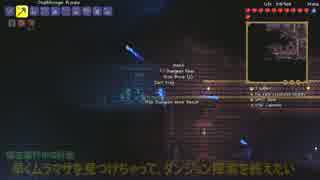 【観測動画】PC版テラリア1.3で木を愛する人 #039【字幕】