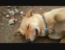お休みのところ失礼します