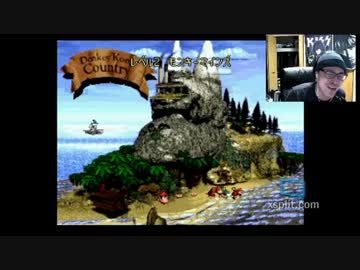 生類憐みの令が適用されるスーパードンキーコング part1