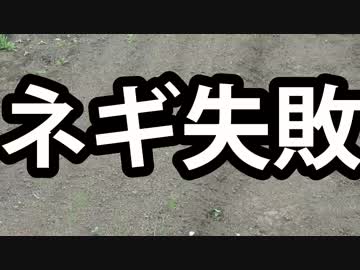 見習い農家　Lv21