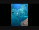 【ちょい旅02】フォトムービー　新江ノ島水族館　+江ノ島は猫いっぱい